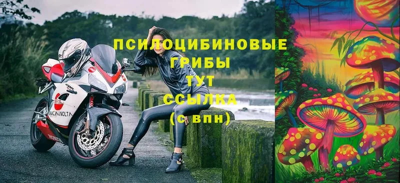 Псилоцибиновые грибы мухоморы  OMG ТОР  Ивдель 